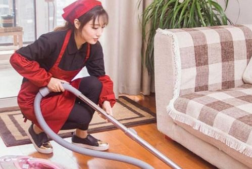 齊潔健康家政加盟 投資費(fèi)用與核心優(yōu)勢(shì)全解析